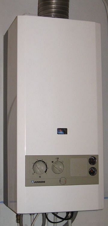 Gastherme zurücksetzen